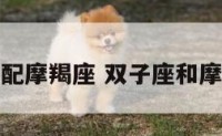 双子配不配摩羯座 双子座和摩羯座配么