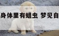梦见自己的身体里有蛆虫 梦见自己身体里生蛆