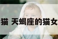 天蝎座的猫 天蝎座的猫女图片动漫