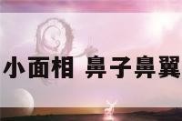 鼻子鼻翼小面相 鼻子鼻翼小好不好