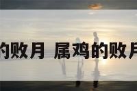 属鸡的败月 属鸡的败月破解