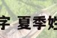 夏季姓女孩名字 夏季姓女孩名字大全