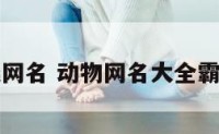 动物类网名 动物网名大全霸气十足
