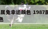 1987年属兔幸运颜色 1987属兔一生幸运颜色