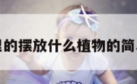 厕所里的摆放什么植物的简单介绍