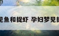 孕妇梦见鱼和捉虾 孕妇梦见抓鱼和虾