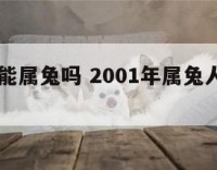 01年可能属兔吗 2001年属兔人的全年运势