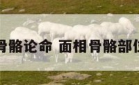 面相骨骼论命 面相骨骼部位名称