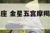 金星五宫摩羯座 金星五宫摩羯座最厉害三个星座