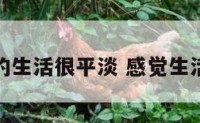 感觉自己的生活很平淡 感觉生活平平淡淡