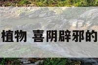 喜阴辟邪的植物 喜阴辟邪的植物是什么