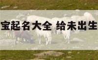 给未出生宝宝起名大全 给未出生宝宝起名大全四个字