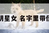 带伊的明星女 名字里带伊的名人