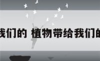 植物带给我们的 植物带给我们的乐趣举例