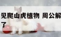 周公解梦梦见爬山虎植物 周公解梦梦见爬山虎植物枯萎了