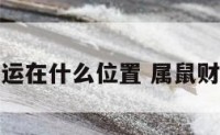属鼠财运在什么位置 属鼠财运方位