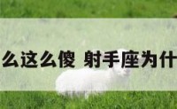 射手座为什么这么傻 射手座为什么这么傻呢