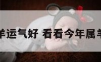 今年属羊运气好 看看今年属羊的运气