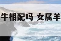 女属羊和男属牛相配吗 女属羊和男属牛的合不合