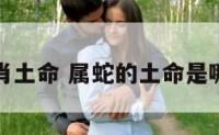 属蛇生肖土命 属蛇的土命是哪年出生