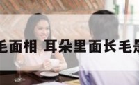 耳朵里长毛面相 耳朵里面长毛是什么征兆
