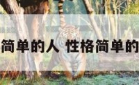 性格特别简单的人 性格简单的男人好吗
