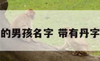 名字里有丹的男孩名字 带有丹字的男孩名字