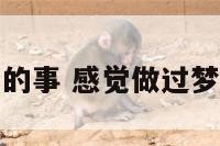 感觉做过梦中的事 感觉做过梦中的事不真实