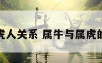 属牛与属虎人关系 属牛与属虎的人合不合
