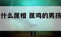 男孩属鸡戴什么属相 属鸡的男孩带什么玉吊坠好