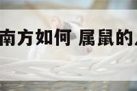属鼠今年去南方如何 属鼠的人2021年去北方好吗