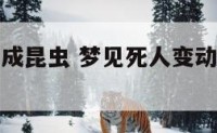 梦到死人变成昆虫 梦见死人变动物是什么意思