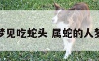 属蛇的梦见吃蛇头 属蛇的人梦见吃蛇