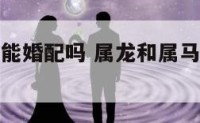 属龙与属马能婚配吗 属龙和属马人婚配合适吗