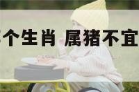 属猪不宜跟哪个生肖 属猪不宜跟哪个生肖做朋友