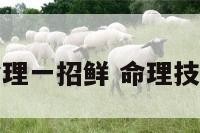 命理一招鲜 命理技法