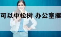 办公室是否可以中松树 办公室摆放松树好不好