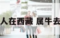 属牛的人在西藏 属牛去西北方