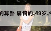 49属狗的算卦 属狗的,49岁,今年怎么样