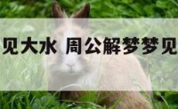 周公解梦梦见大水 周公解梦梦见发大水好不好