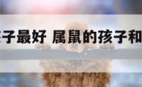 属相属鼠孩子最好 属鼠的孩子和父母哪个属相比较好