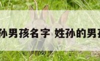 2015姓孙男孩名字 姓孙的男孩儿名字