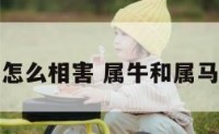 属牛和属马怎么相害 属牛和属马相处谁吃亏