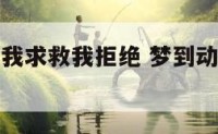 梦到动物向我求救我拒绝 梦到动物向我求救我拒绝我了