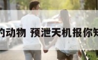 预泄天机的动物 预泄天机报你知什么意思