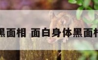 面白身体黑面相 面白身体黑面相代表什么