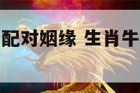 生肖牛男不易配对姻缘 生肖牛男不易配对姻缘吗