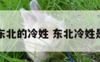 生活在东北的冷姓 东北冷姓是汉族吗