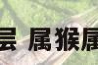 属猴属鸡最佳楼层 属猴属鸡住几层楼最好