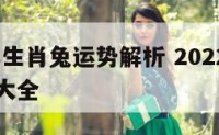 2022年生肖兔运势解析 2022年生肖兔运势大全